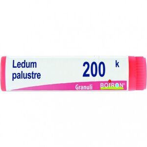 Boiron Srl BO.LEDUM PALUSTRE 200K GL