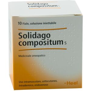 Guna Spa Solidago Compositum - 10 Fiale da 2,2ml