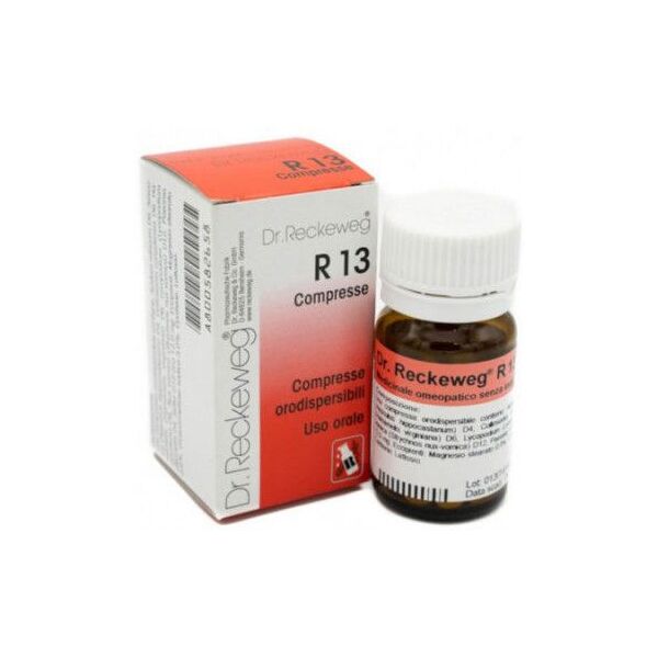 dr.reckeweg & co. gmbh reckeweg - r13 100 cpr 0,1g