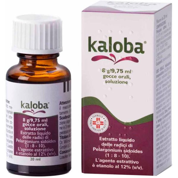 dr.willmar schwabe gmbh&co.kg kaloba gocce 20mg / 1,5ml contro raffreddore comune 20 ml