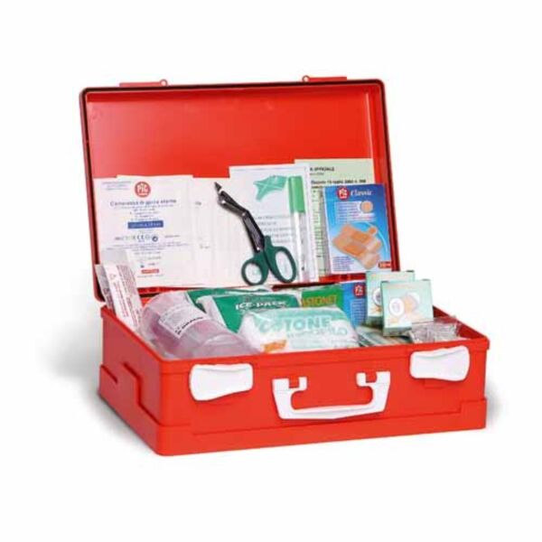 farmacare srl cassetta ps dm 388 all1 farmacar