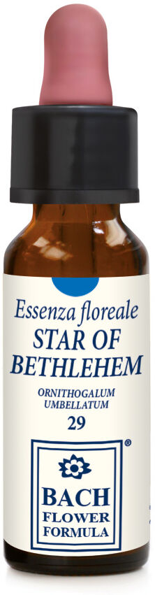 Erba Vita Star Of Bethlehem 10ml Gocce