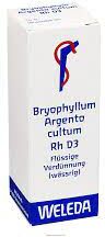 Weleda Bryophyllum Arg.C D3 RH 20ml