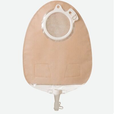 Sacca per Urostomia Coloplast - 430ml, Trasparente, 2 Pezzi, Sistema a Click Sacca per Urostomia Coloplast - 430ml, Trasparente, 2 Pezzi, Sistema a Click