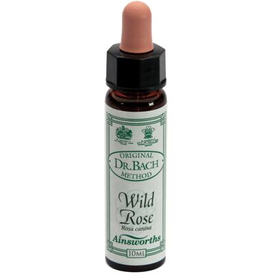 SANTIVERI Sa WILD ROSE 10ML AINSWORTHS SANTIVERI Sa WILD ROSE 10ML AINSWORTHS