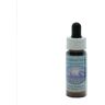 Natur Srl GREENLAND ICECAP ESS7,5ML ALSK