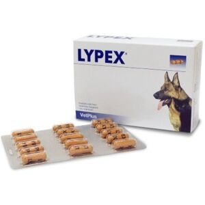 Vetplus Ltd Lypex Integratore Alimentare Per Animali Domestici 60 Capsule - Supporto Digestivo per Cani e Gatti