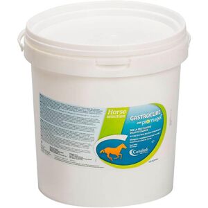 Candioli Ist.Profil.E Farm.Spa Gastrocure Mangime Complementare per la Protezione dello Stomaco per Equini 2,6Kg - Supporto Gastrico per Cavalli