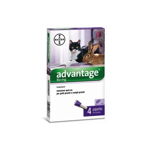 elanco italia spa advantage spot on antiparassitario per gatti e conigli grandi - marca xyz - 4 pipette da 0,8 ml - protezione efficace contro parassiti