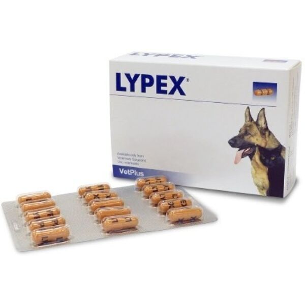 vetplus ltd lypex integratore alimentare per animali domestici 60 capsule - supporto digestivo per cani e gatti