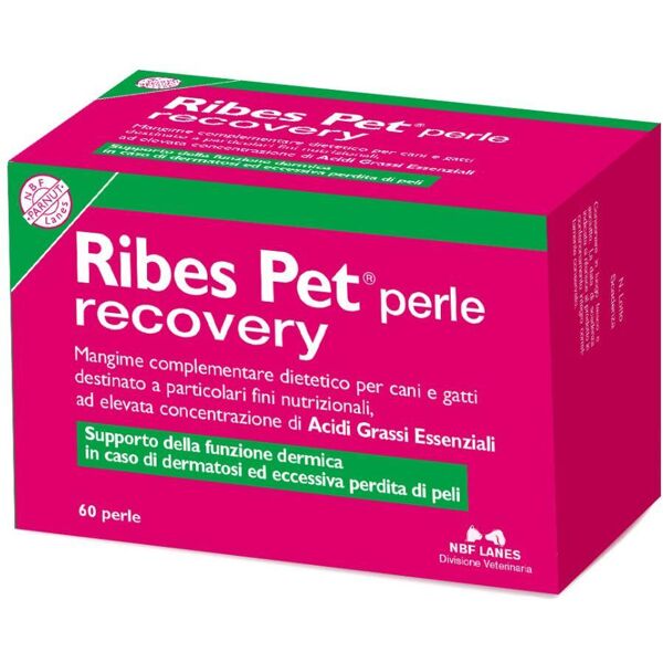 n.b.f. lanes srl ribes pet recovery per cane e gatto 60 perle - integratore nutrizionale