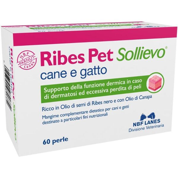 n.b.f. lanes srl ribes pet sollievo integratore per cani e gatti dermatosis e perdita di pelo 60 perle