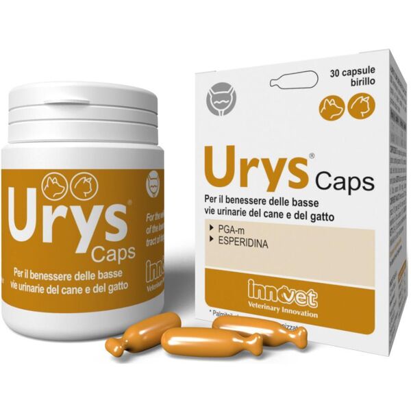 innovet italia srl urys caps integratore per il benessere delle vie urinarie di cani e gatti - 30 capsule