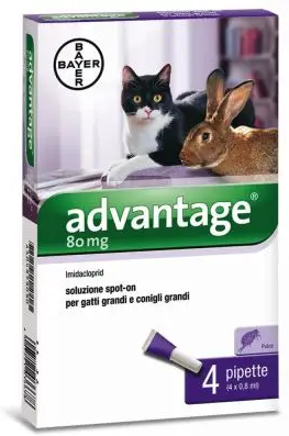 elanco italia spa advantage spot on antiparassitario per gatti e conigli grandi - marca xyz - 4 pipette da 0,8 ml - protezione efficace contro parassiti