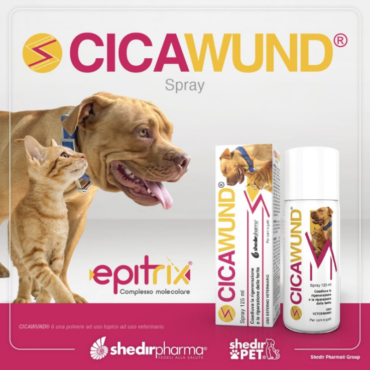 shedir pharma vet cicawund spray per ferite per cani e gatti 125ml - cura veloce e sicura per graffi e lesioni cutanee