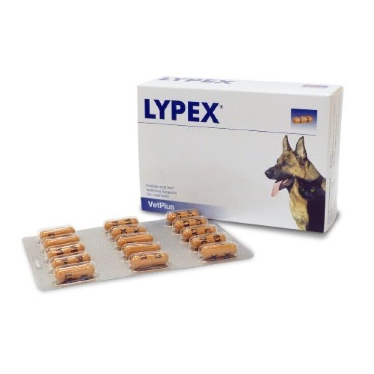 vetplus ltd lypex integratore alimentare per animali domestici 60 capsule - supporto digestivo per cani e gatti