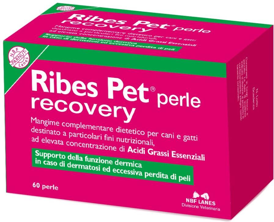 n.b.f. lanes srl ribes pet recovery per cane e gatto 60 perle - integratore nutrizionale