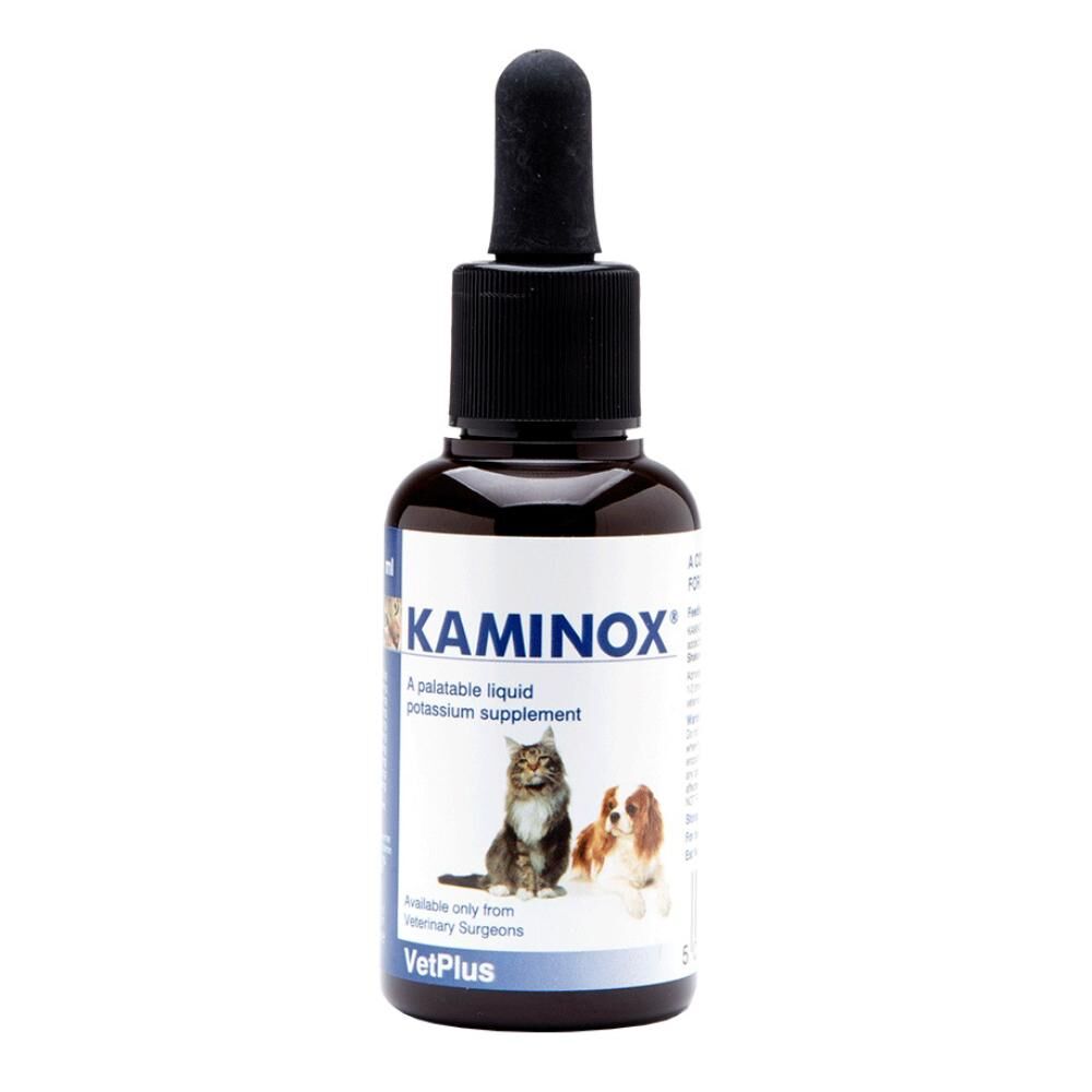 vetplus ltd kaminox sciroppo per funzionalità renale gatti 60ml - integratore per reni gatti - supporto renale felino