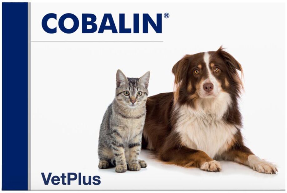 vetplus ltd cobalin per cani e gatti 60 capsule - integratore vitaminico per animali domestici