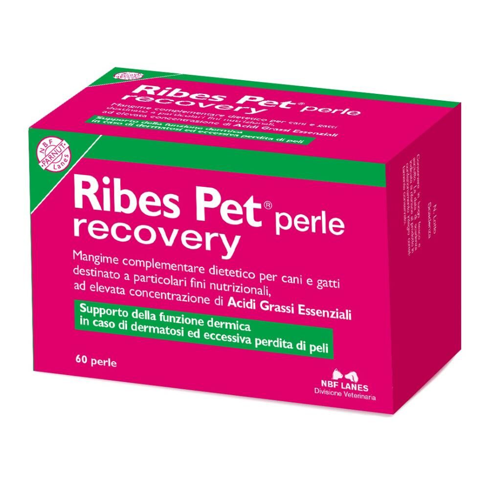 N.B.F. Lanes Srl Ribes Pet Recovery per Cane e Gatto 60 Perle - Integratore Nutrizionale