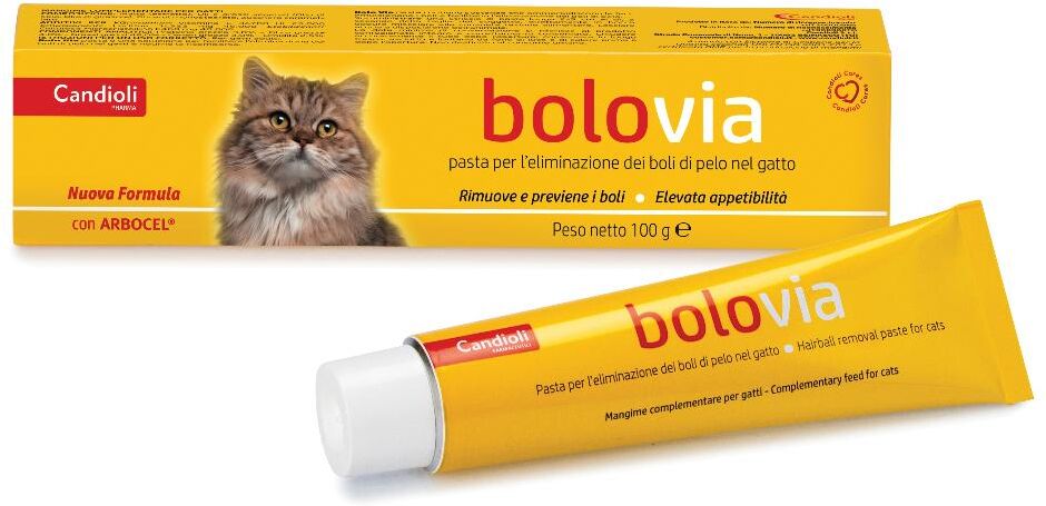 Candioli Ist.Profil.E Farm.Spa Bolo Via Pasta Appetibile per Gatti - 100g - Facilita l'Eliminazione dei Boli di Pelo nel Gatto