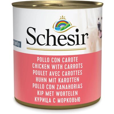 Schesir Cibo Umido per Cani 285g - Alimento per cani Schesir Cibo Umido per Cani 285g - Alimento per cani