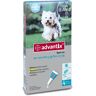 Elanco Italia Spa Advantage Spot On per Cani oltre 4kg fino a 10kg 4 Pipette - Trattamento Antiparassitario