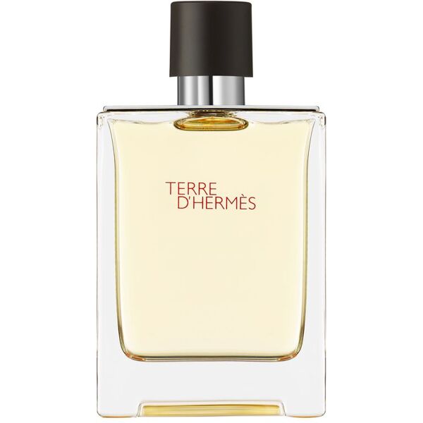 hermès terre d'hermes eau de toilette 100 ml