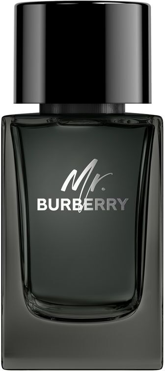 Burberry Mr. Eau De Parfum 100 ML