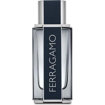 Salvatore Ferragamo Eau De Toilette 100 ML Salvatore Ferragamo Eau De Toilette 100 ML