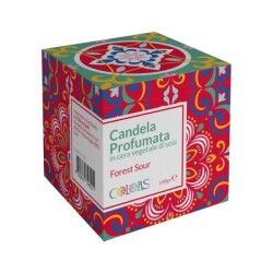 E.F.A.S. SpA Maioliche Candela Profumata Forest Sour 120 g