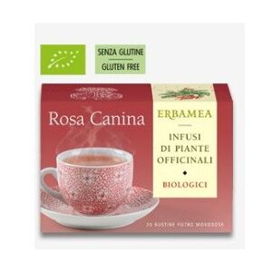 ERBAMEA ROSA CANINA BIOLOGICA 20 bustine filtro