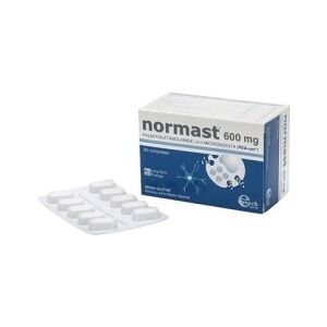 EPITECH GROUP NORMAST 600MG 60 COMPRESSE