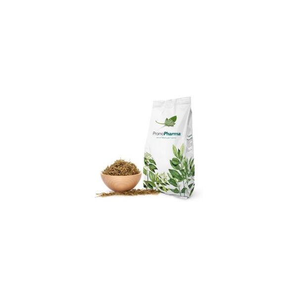 promopharma spa tisane fruttate 100gr