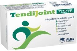 FIDIA FARMACEUTICI SpA Tendijoint Forte 20 Compresse