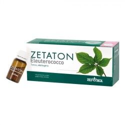 ZETA FARMACEUTICI ZETATON ELEUTEROCOCCO 12 FLACONCINI DA 10ml