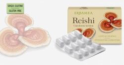 ERBAMEA REISHI COMPRESSE