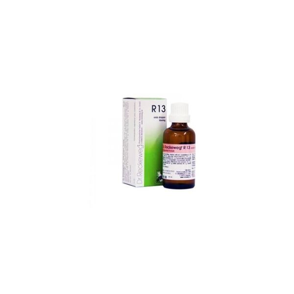 dr.reckeweg & co. gmbh reckeweg r13 gocce 22ml