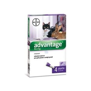 Bayer ADVANTAGE 4 PIPETTE 80mg 0,8ML SPOT-ON