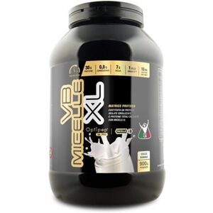 Net Integratori Blend Proteico Vb Micelle Xl Proteine Idrolizzate