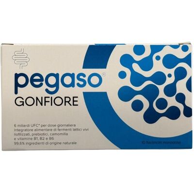 SCHWABE PHARMA ITALIA Srl Pegaso Gonfiore 10 flaconcini - Integratore Fermenti Lattici Vivi SCHWABE PHARMA ITALIA Srl Pegaso Gonfiore 10 flaconcini - Integratore Fermenti Lattici Vivi