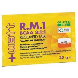 +WATT R.m.1 Bcaa 8:1:1 Recovery Mix