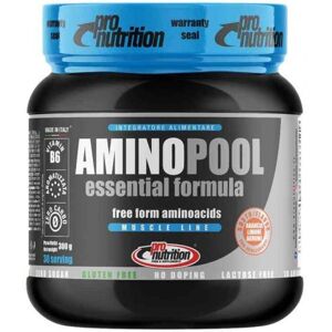 Pronutrition Amino Pool Essential 300 Grammi
