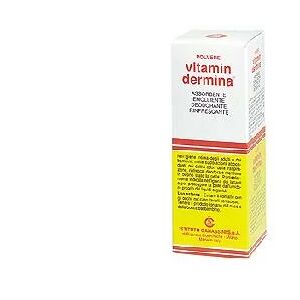 IST.GANASSINI SPA Vitamindermina polvere 100 g