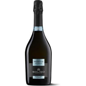 soligo prosecco doc treviso millesimato extra dry