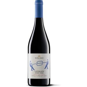 soligo levigato pinot nero marca trevigiana igt