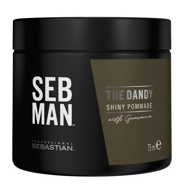 sebastian seb man the dandy shiny pomade 75 ml