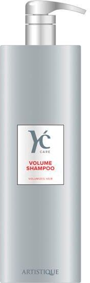 artistique you care shampoo 1 litro