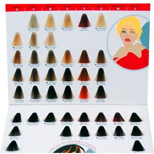 Domino Scheda colore Haircolor