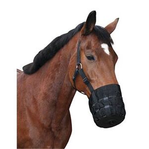 Kerbl Capezza con museruola - museruola anticolica per cavalli e pony, misure: mezzosangue